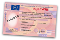 VIZ-OCR-LIC1 NL Rijbewijs